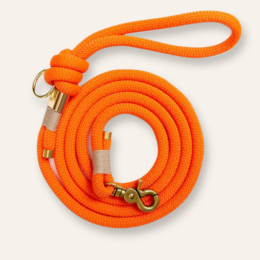 Rope Leash - Orange