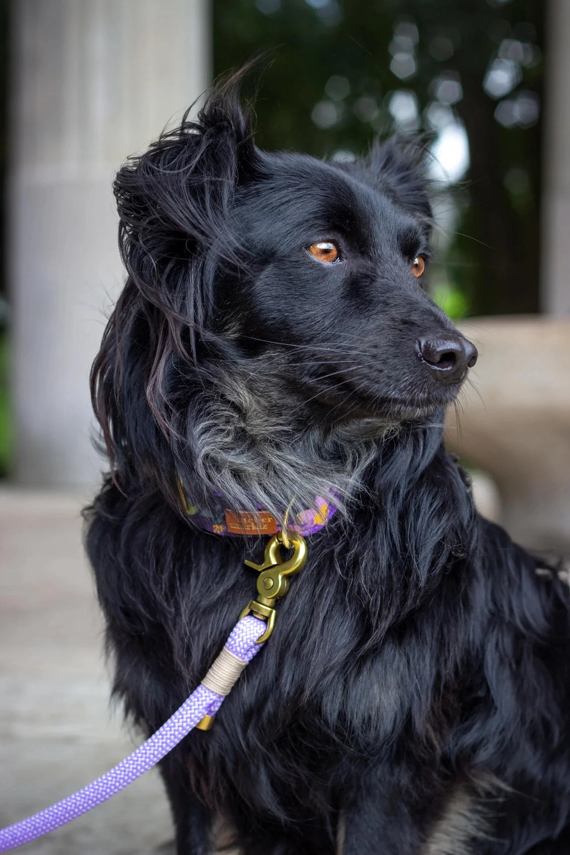 Rope Leash - Purple