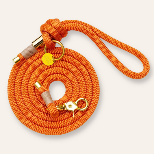 Rope Leash - Tangerine