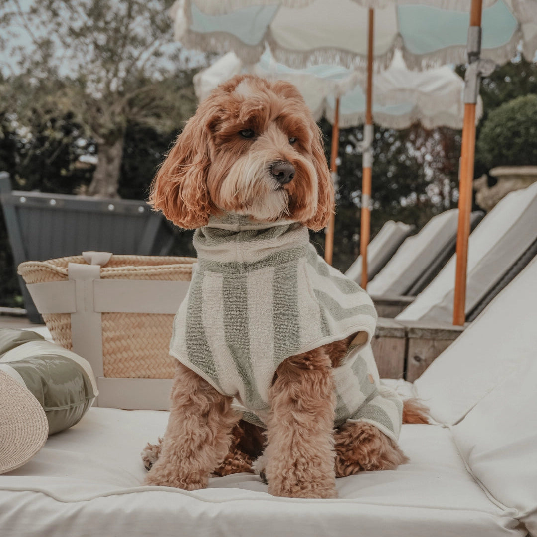 Cosy Cloak Drying Robe - Matcha Stripe