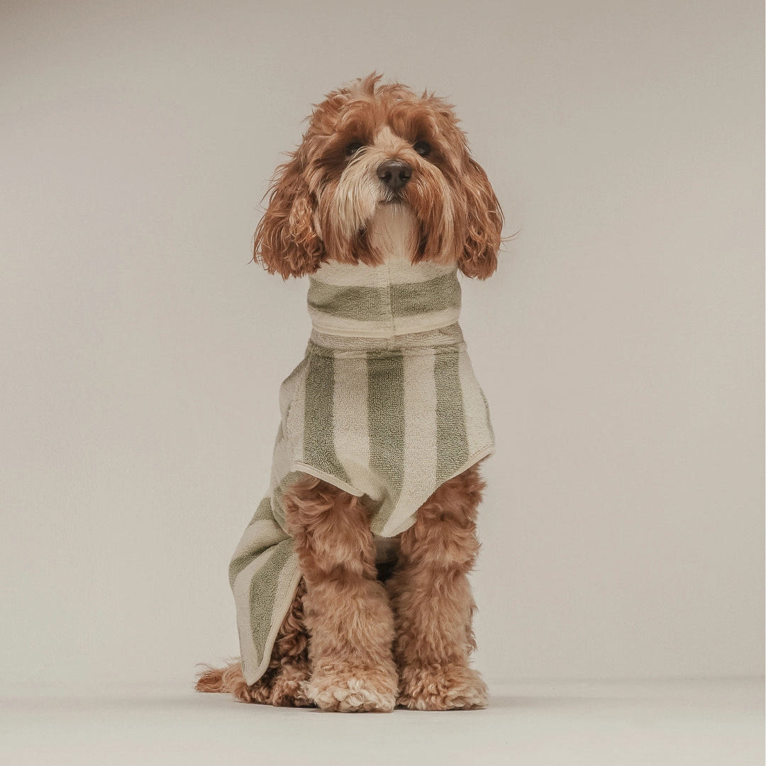 Cosy Cloak Drying Robe - Matcha Stripe