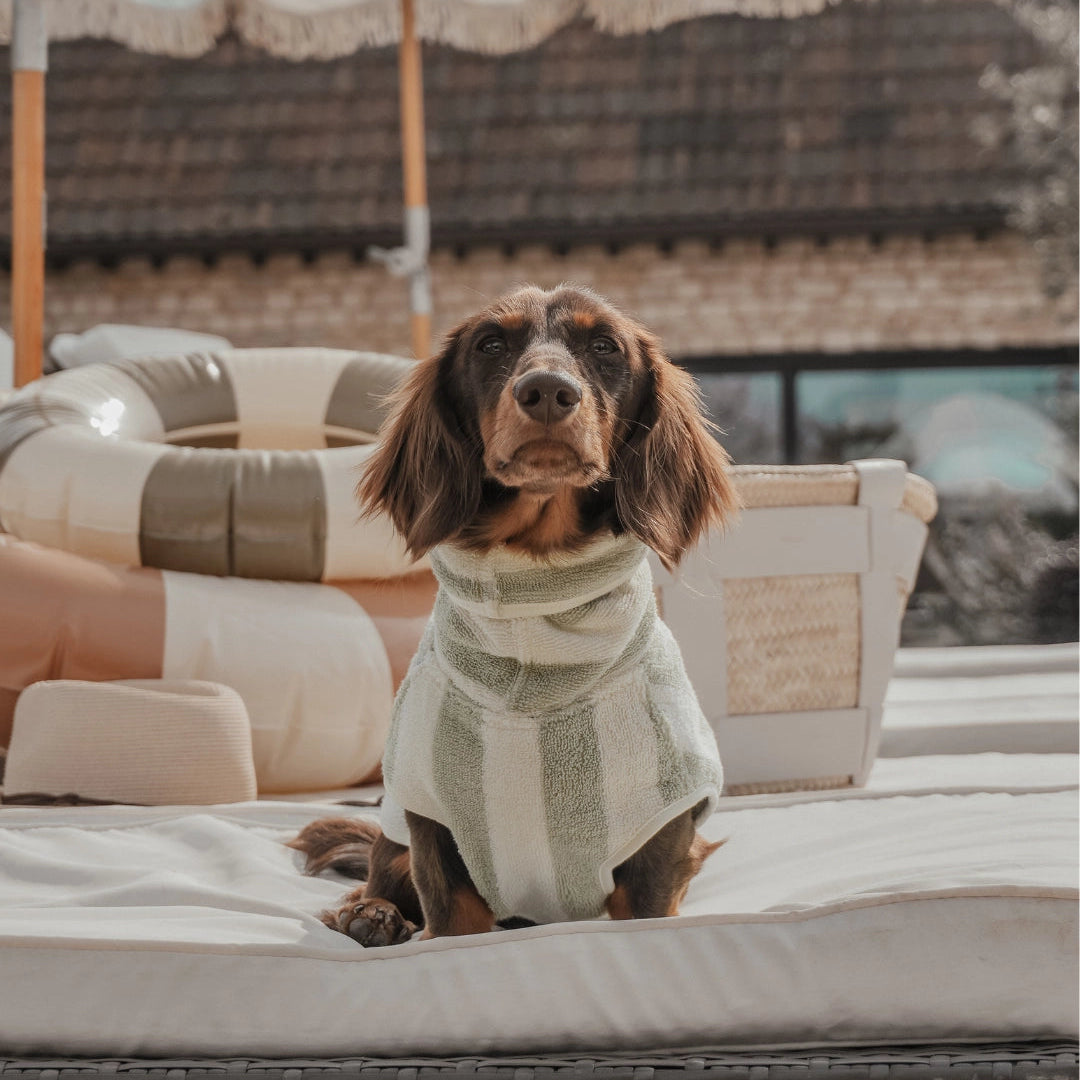 Cosy Cloak Drying Robe - Matcha Stripe
