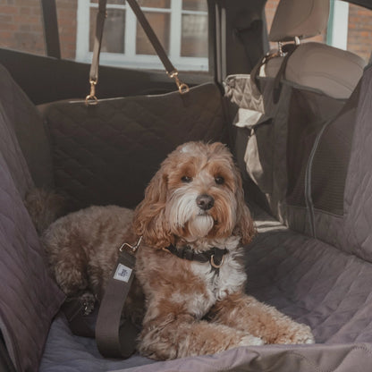 Quilted Car Hammock