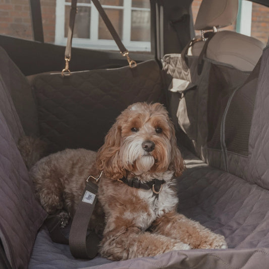 Quilted Car Hammock