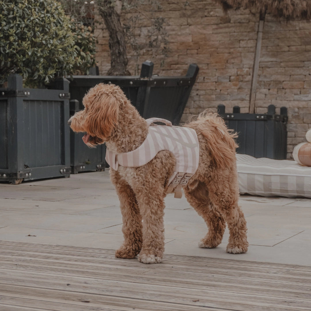Tide Rider Life Jacket