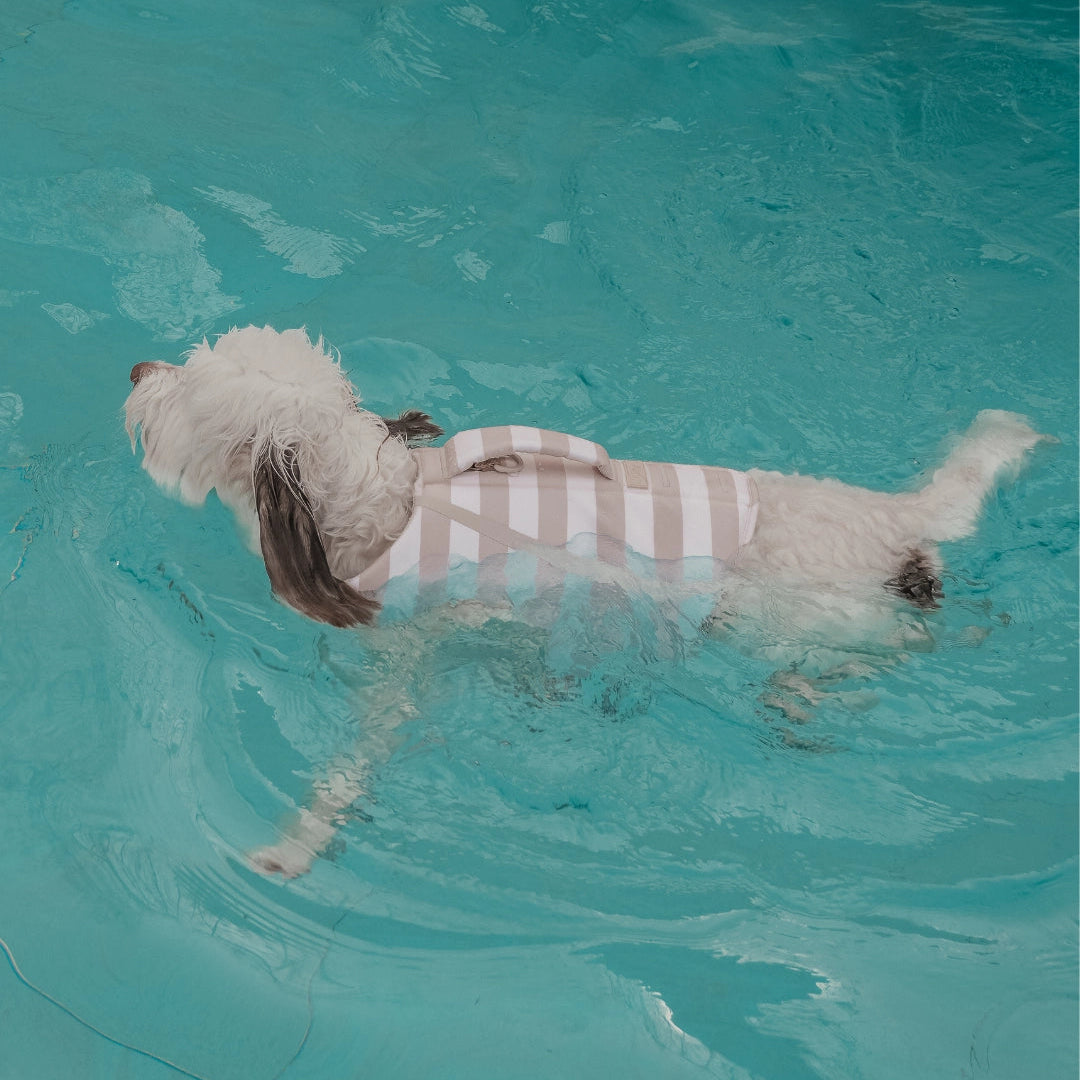 Tide Rider Life Jacket