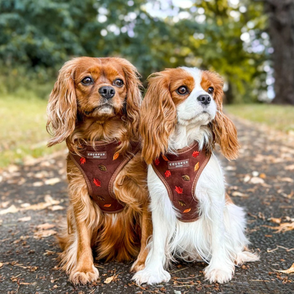 Adjustable Harness - Autumn Leaves