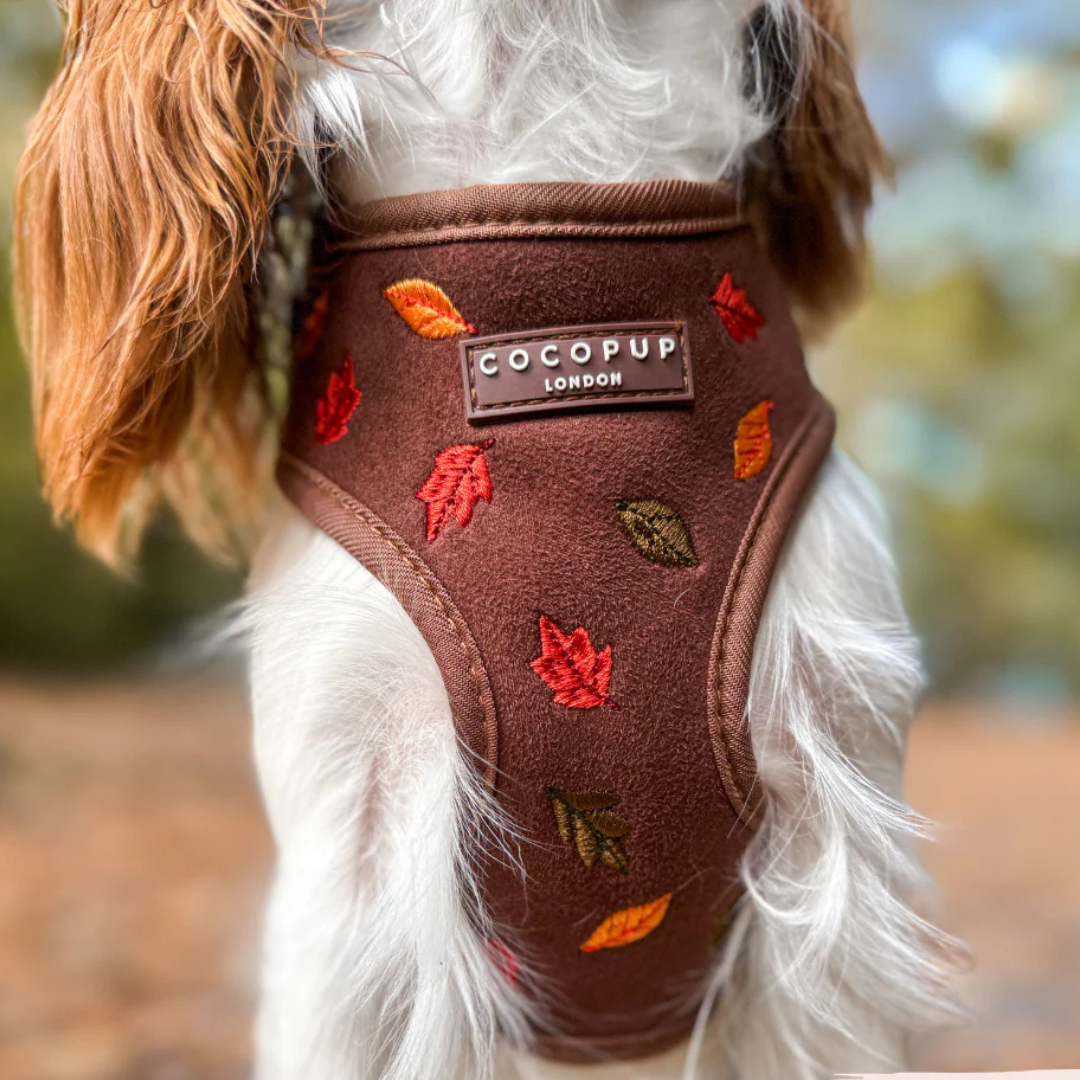 Adjustable Harness - Autumn Leaves