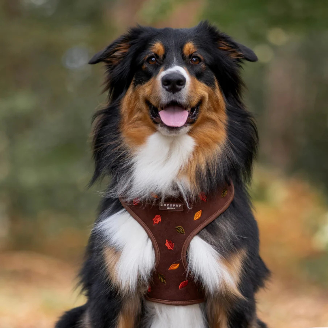 Adjustable Harness - Autumn Leaves