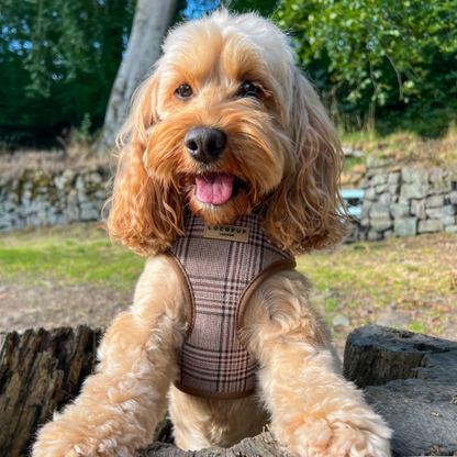Adjustable Harness - Brown Plaid