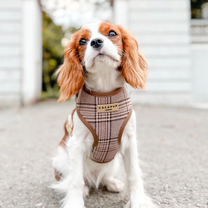 Adjustable Harness - Brown Plaid