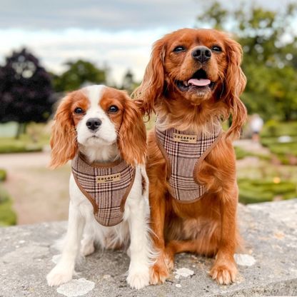 Adjustable Harness - Brown Plaid