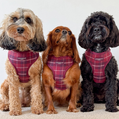 Adjustable Harness - Mulberry Plaid