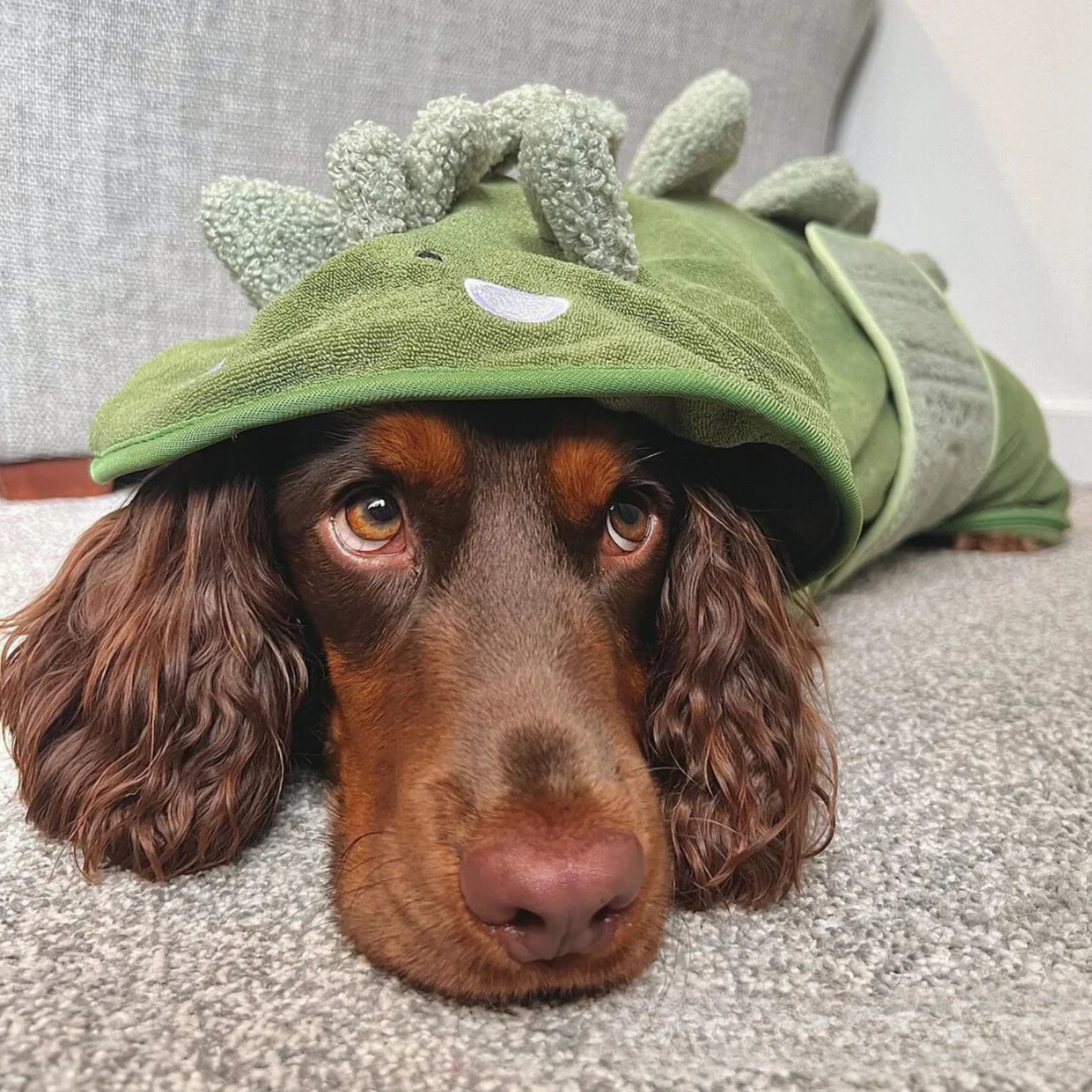 Dino Drying Robe