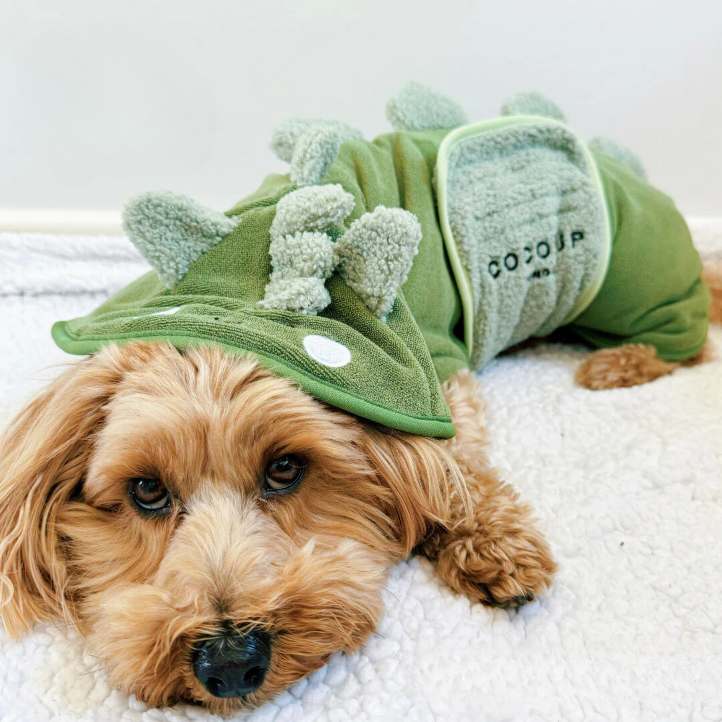 Dino Drying Robe