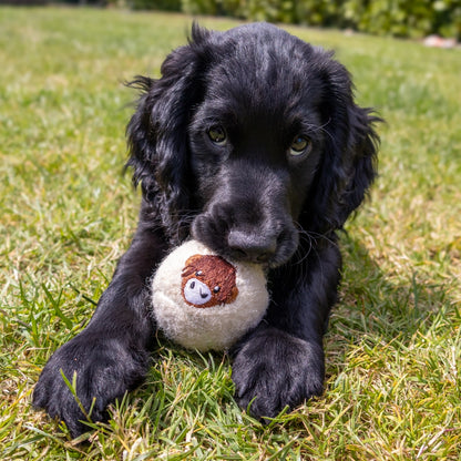 Embroidered Tennis Ball