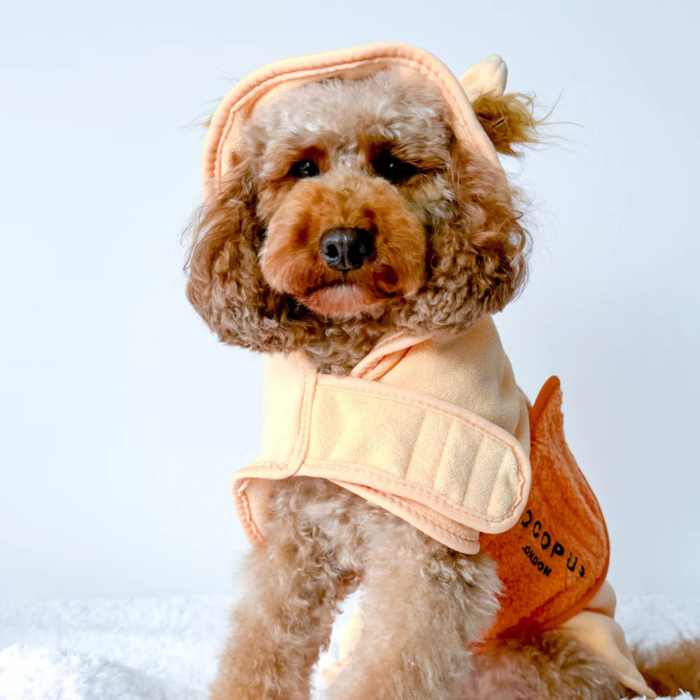 Lion Drying Robe