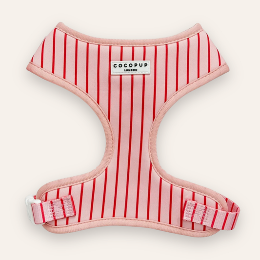 Adjustable Harness - Candy Stripe