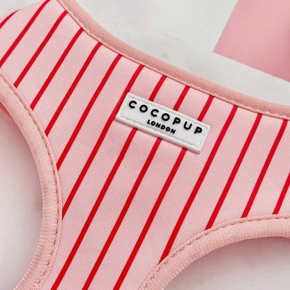 Adjustable Harness - Candy Stripe
