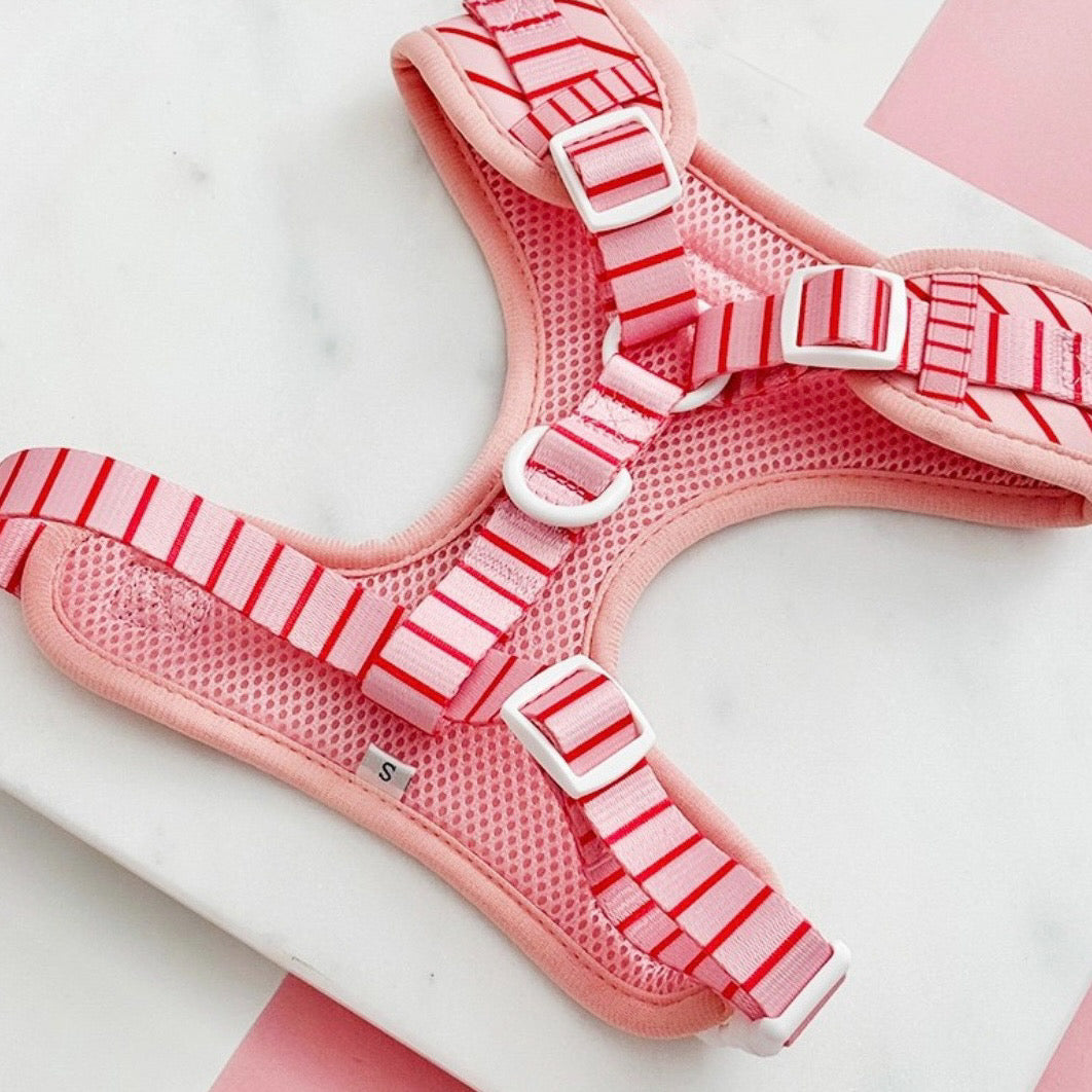 Adjustable Harness - Candy Stripe