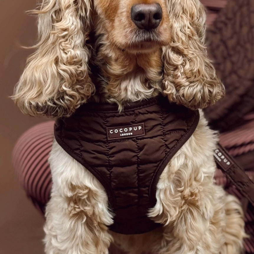 Adjustable Harness -  Espresso Quilted
