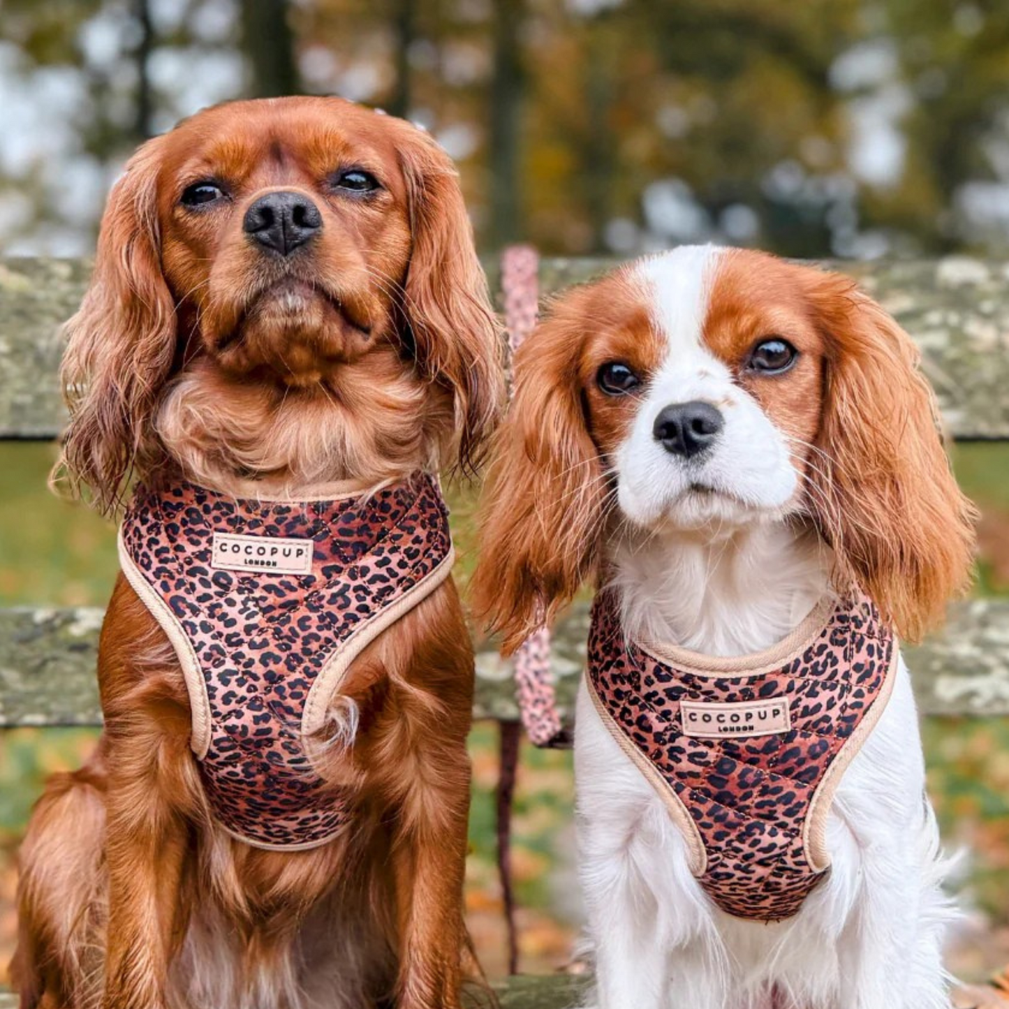 Adjustable Harness - Quilted Leopard