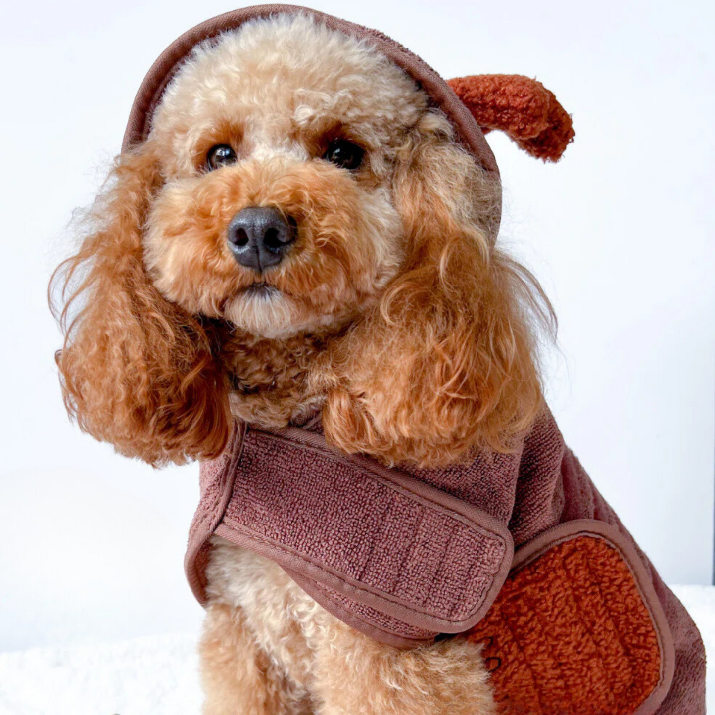 Reindeer Drying Robe