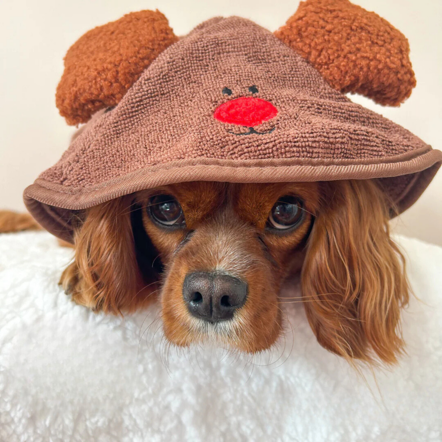 Reindeer Drying Robe