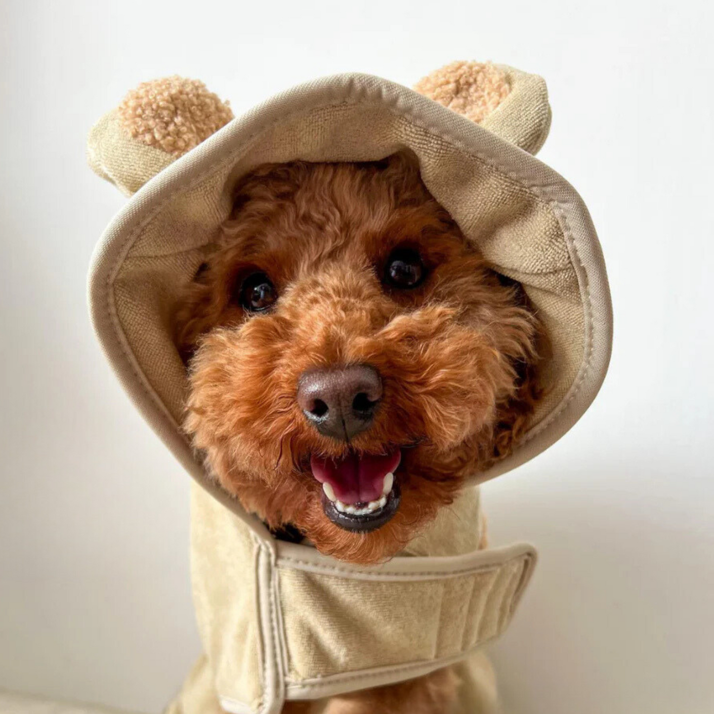 Teddy Drying Robe