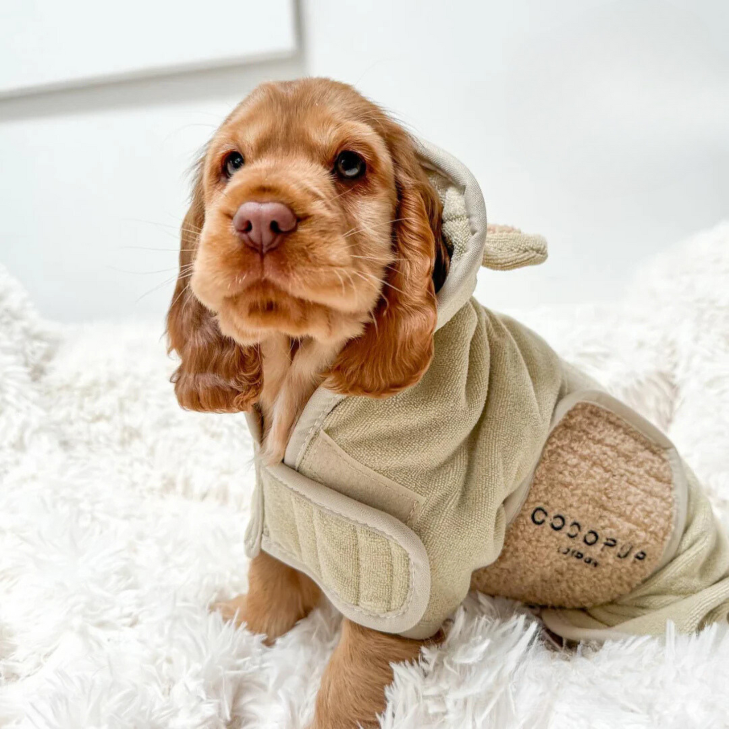 Teddy Drying Robe