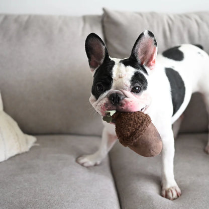 Acorn Enrichment Toy
