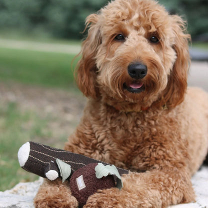 Acorn Enrichment Toy