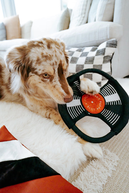 Bark To Beat  Enrichment Toy