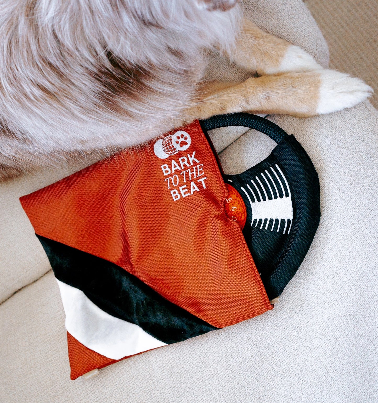 Bark To Beat  Enrichment Toy