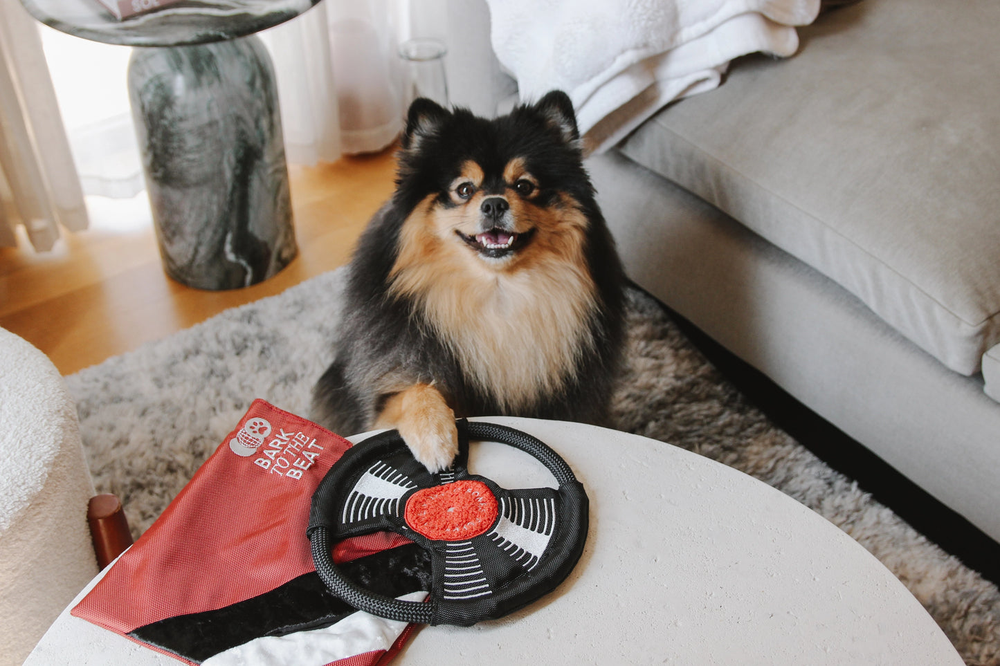 Bark To Beat  Enrichment Toy