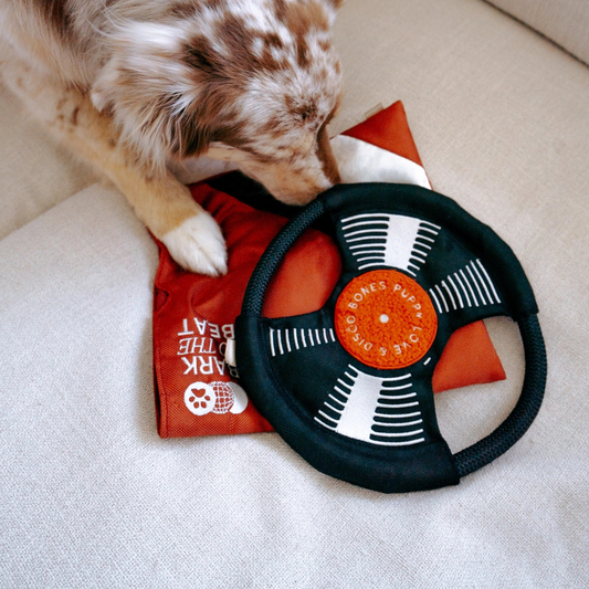 Bark To Beat  Enrichment Toy