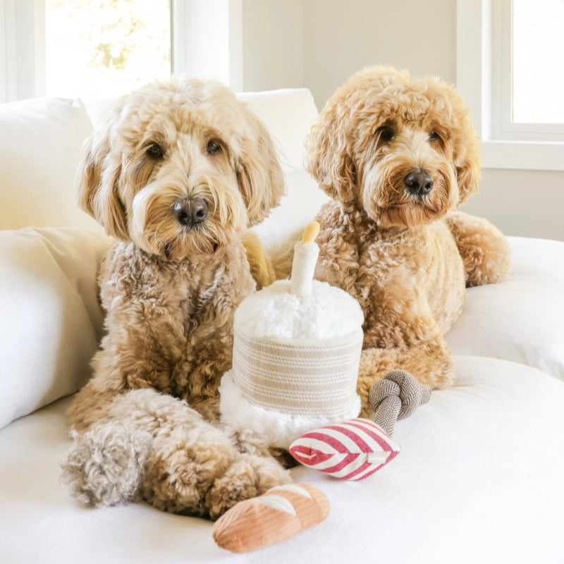 Birthday Cake Burrow Toy