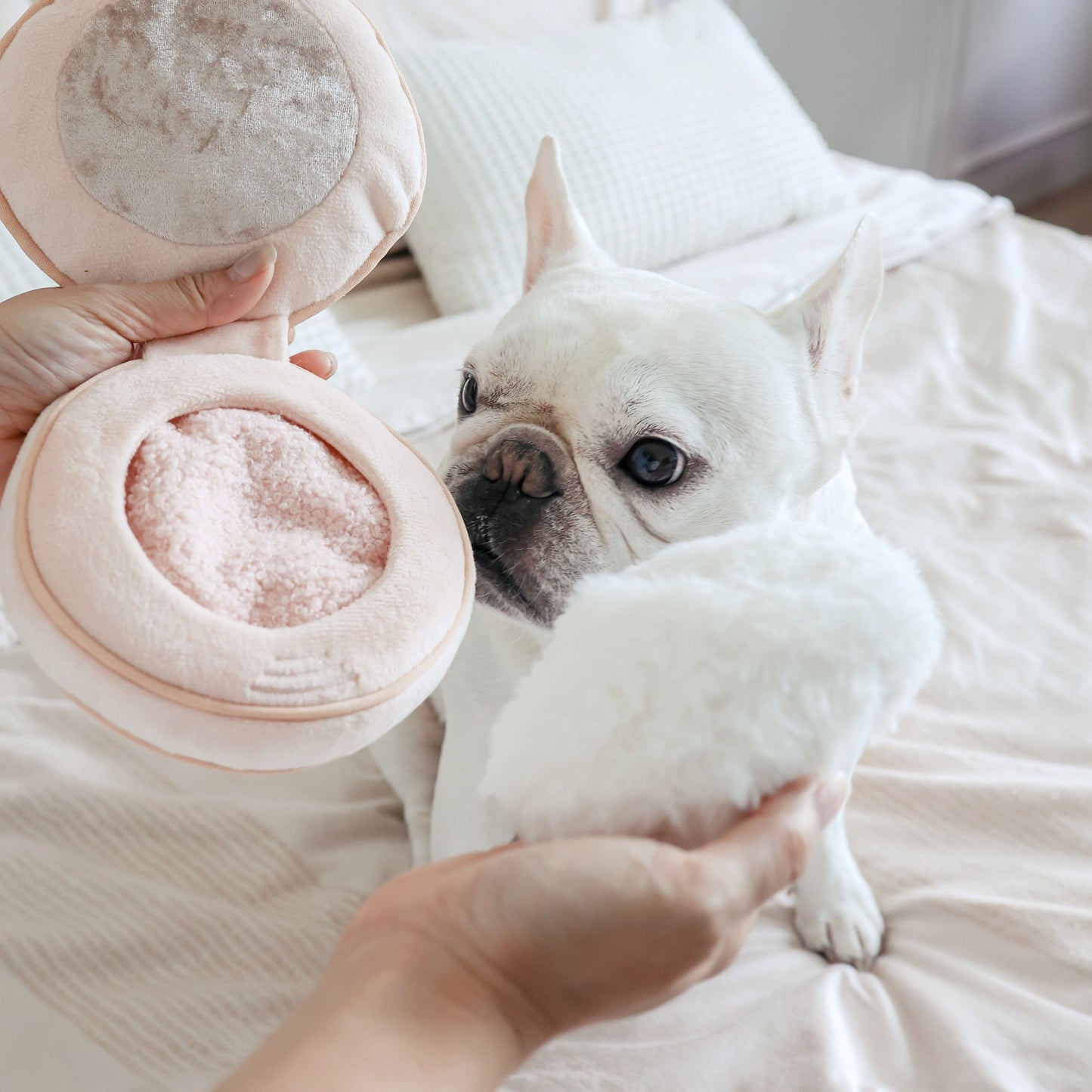 Blush Enrichment Toy