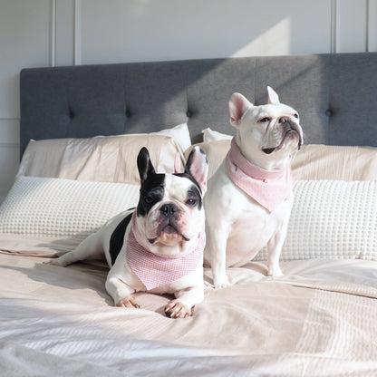 Blush Picnic Dog Bandana