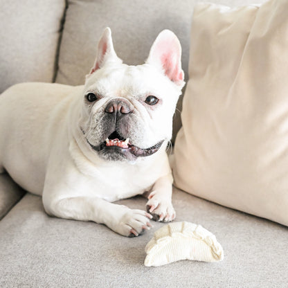 Dim Sum Enrichment Toy