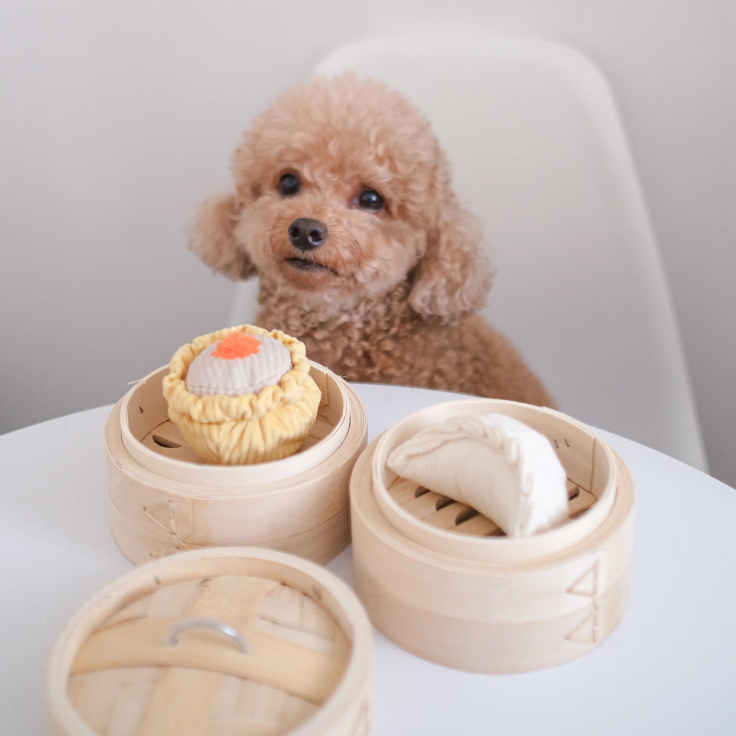 Dim Sum Enrichment Toy