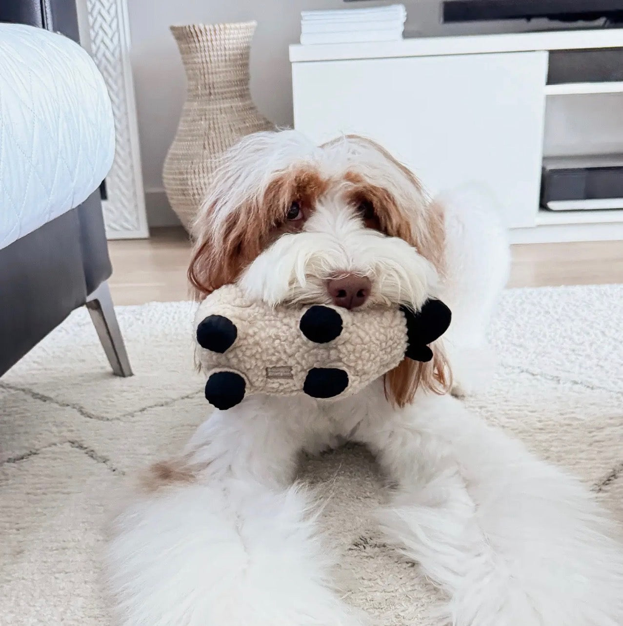 Dolly Plush Toy
