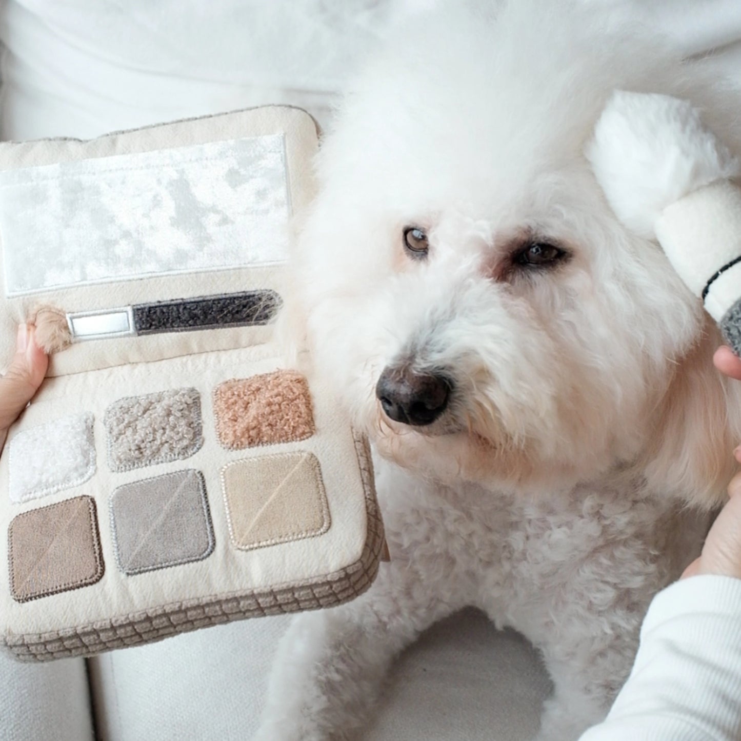 Eyeshadow Palette Enrichment Toy