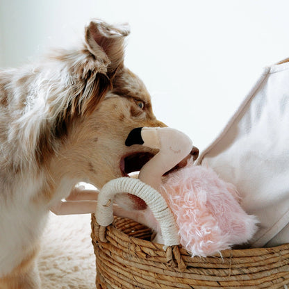 Flamigo Enrichment Toy