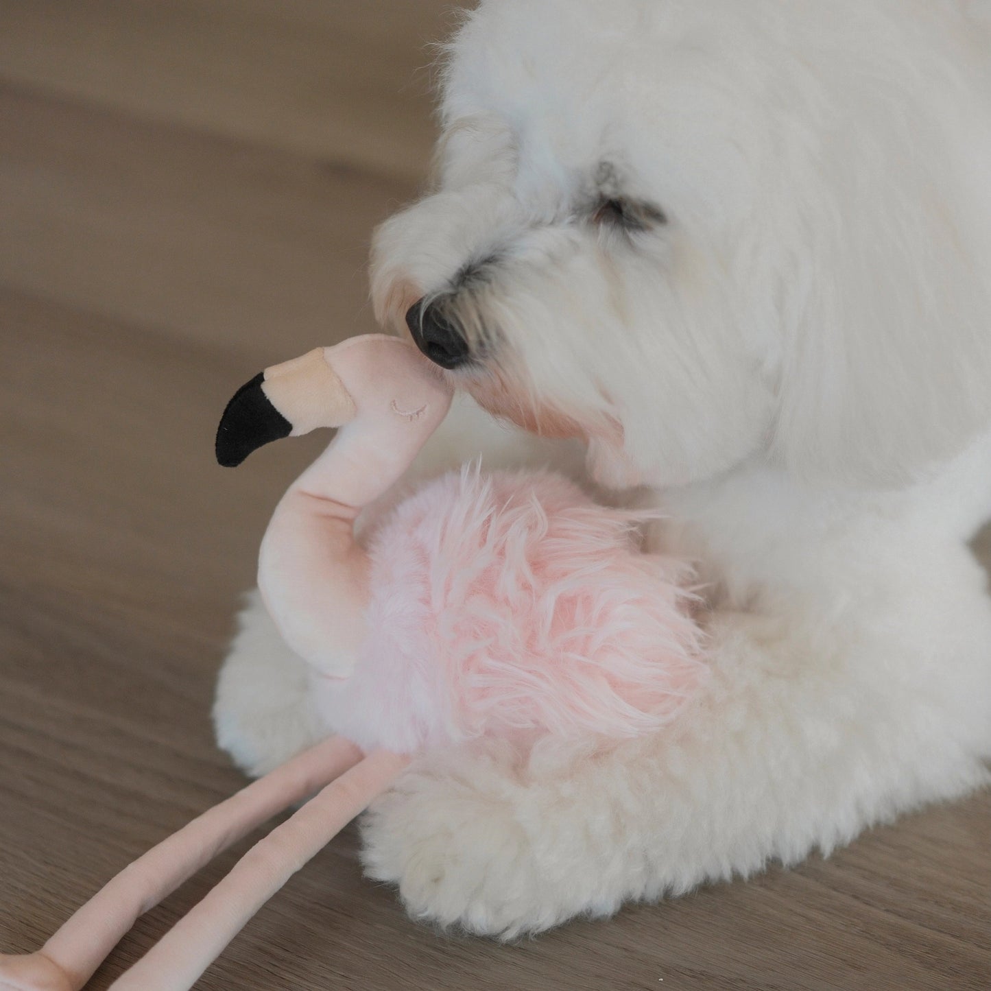 Flamigo Enrichment Toy
