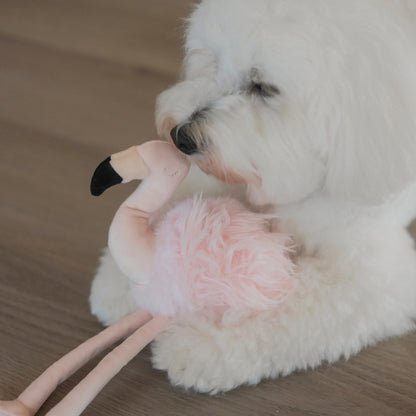 Flamigo Enrichment Toy
