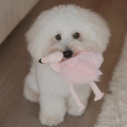 Flamigo Enrichment Toy