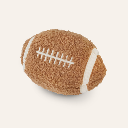 Football Enrichment Toy