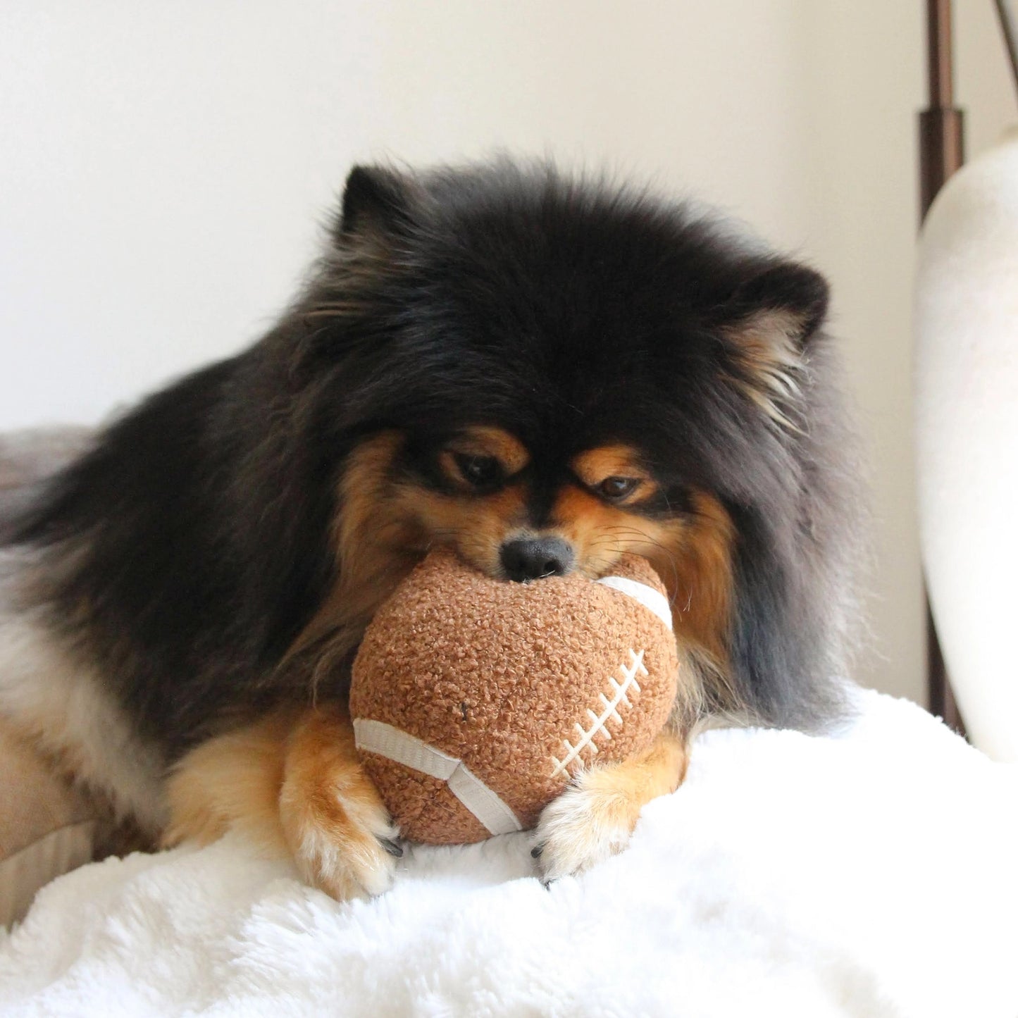 Football Enrichment Toy