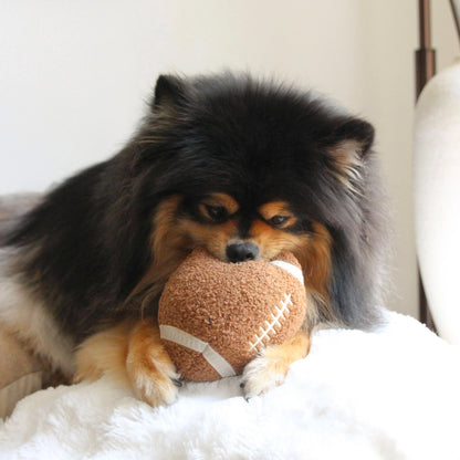 Football Enrichment Toy